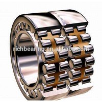 Customize Cylindrical Roller Bearing SL NU NJ NUPG NN NNU NJG NNCL NNCF Series