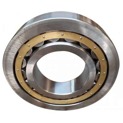 Cylindrical Roller Bearing NJ1026 M bearing